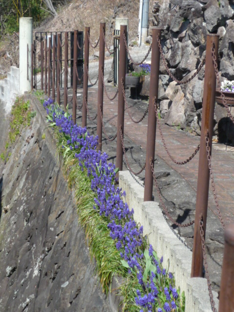 P1030008.JPG
