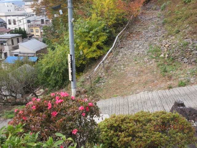 H28.11.15つつじと遊歩道の紅葉.JPG H28.11.15つつじと遊歩道の紅葉.JPG