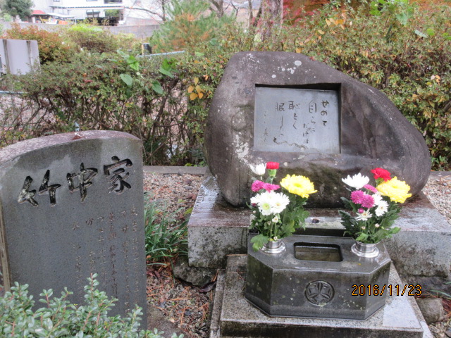 H28.11.23.JPG