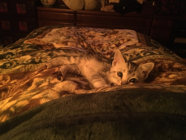 image.jpeg image.jpeg