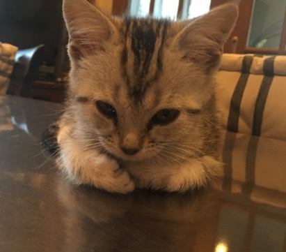 image.jpeg image.jpeg