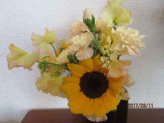 H29.3.11.JPG