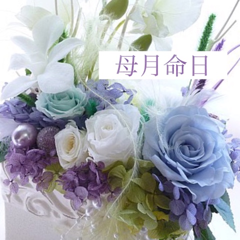 image.jpeg