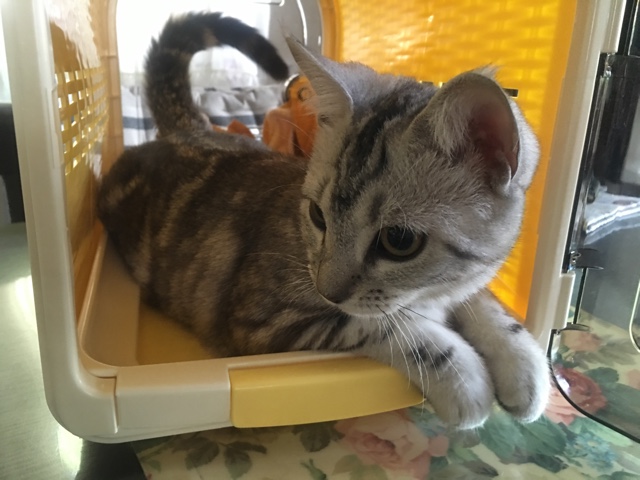 image.jpeg image.jpeg