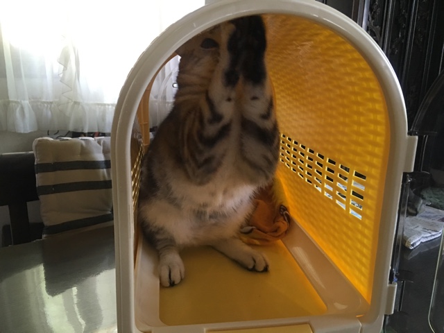 image.jpeg image.jpeg