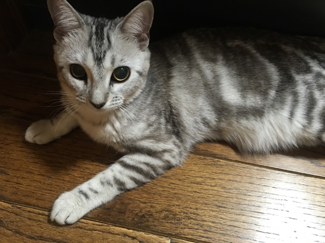 image.jpeg image.jpeg