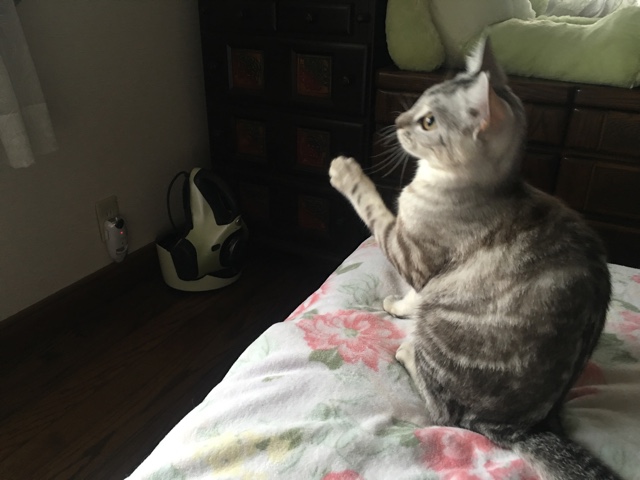 image.jpeg image.jpeg
