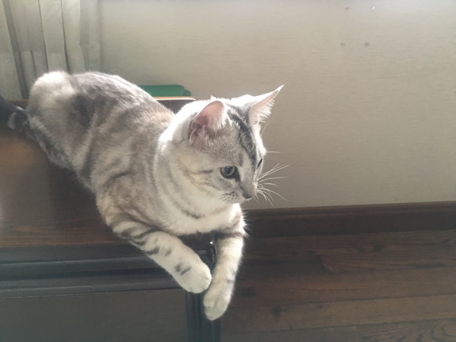 image.jpeg image.jpeg