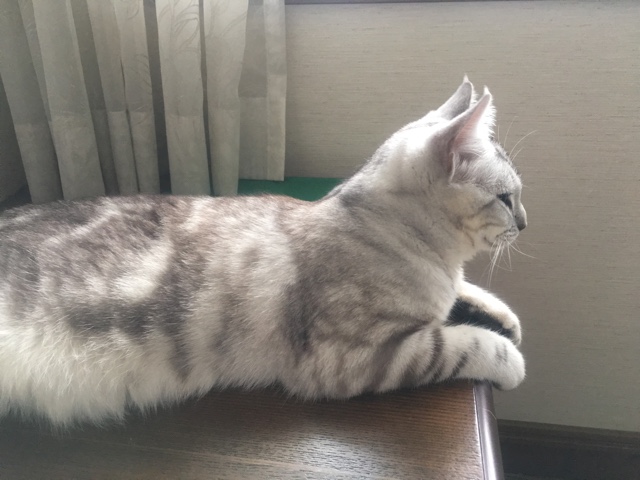 image.jpeg image.jpeg