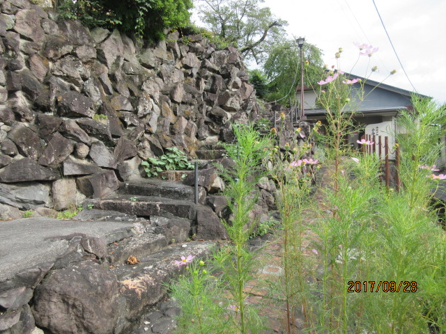 H29.9.28⥹.JPG