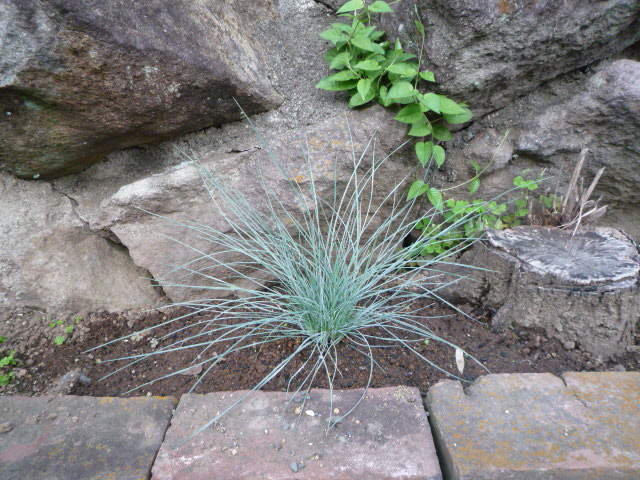 P1030432.JPG