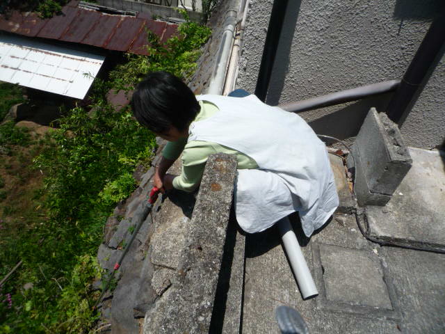 ƣȲH21.5.14.JPG