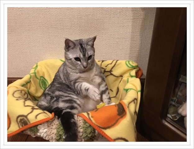 image.jpeg