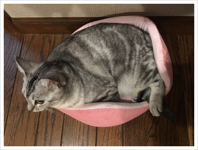 image.jpeg image.jpeg
