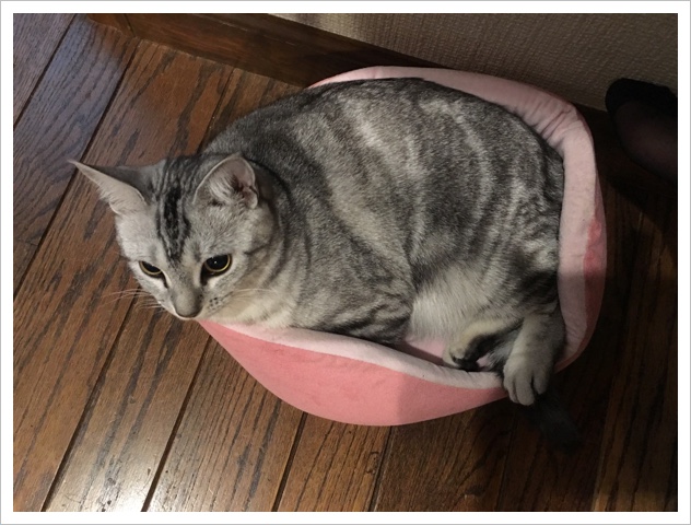 image.jpeg image.jpeg