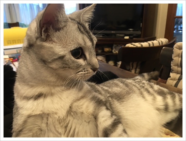 image.jpeg