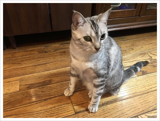 image.jpeg image.jpeg