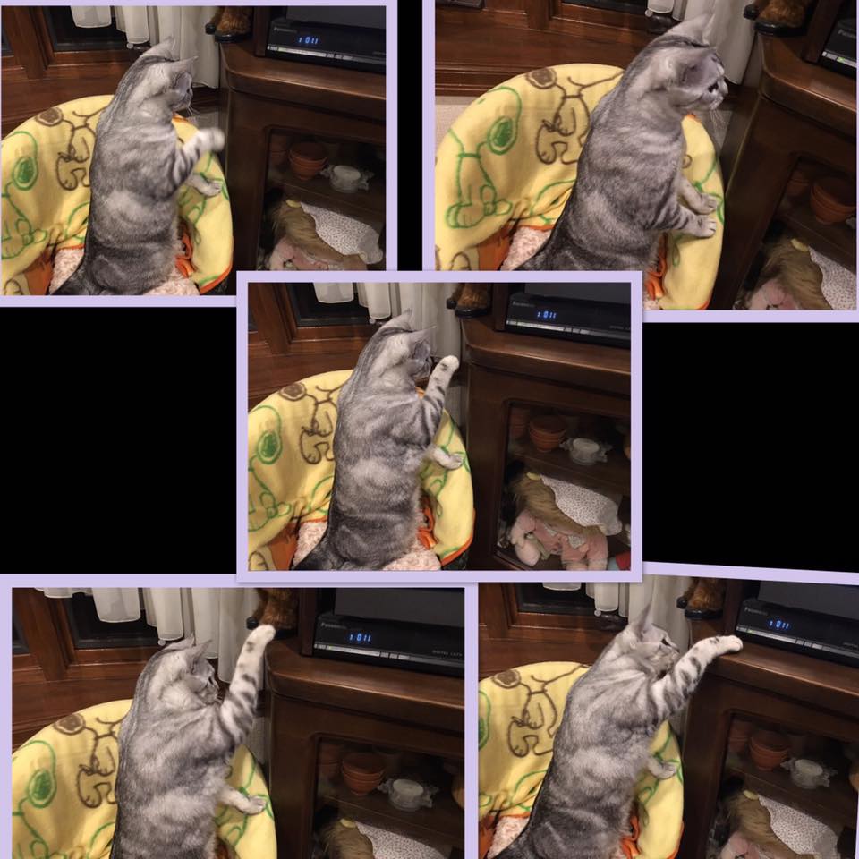 26805178_1174344432696342_5679805658202767673_n[1].jpg