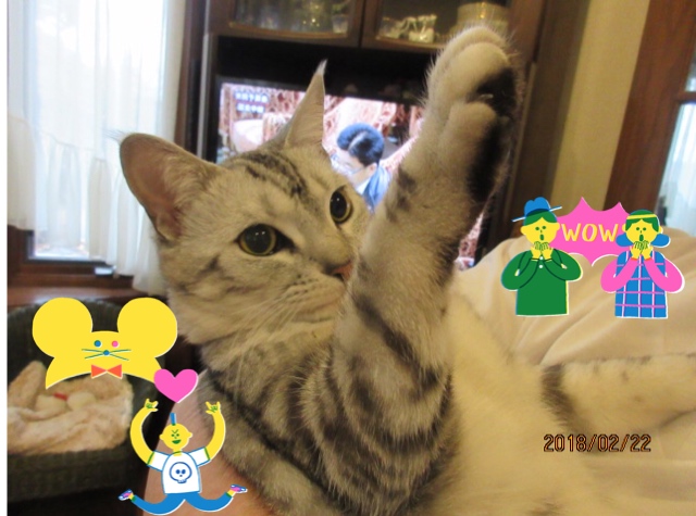 image.jpeg