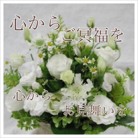 image.jpeg