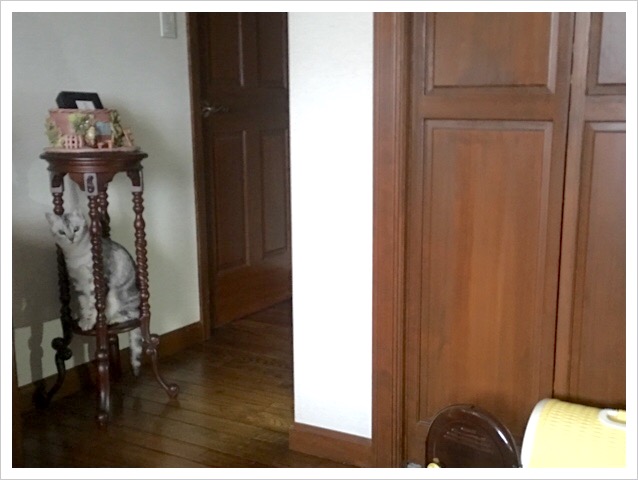 image.jpeg image.jpeg