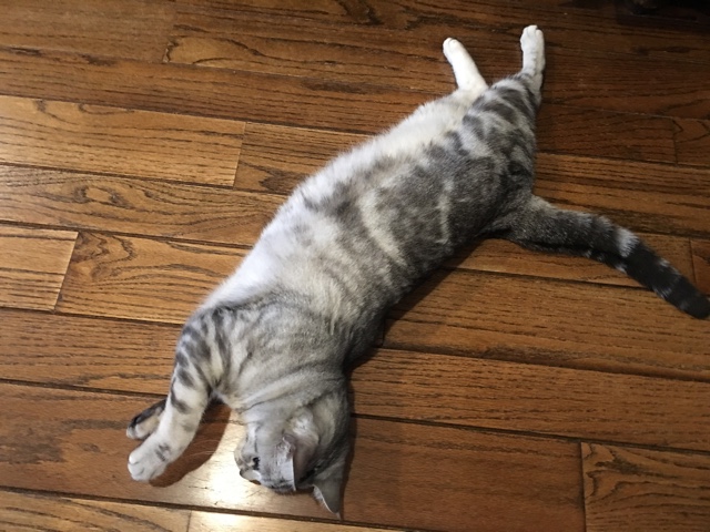 image.jpeg