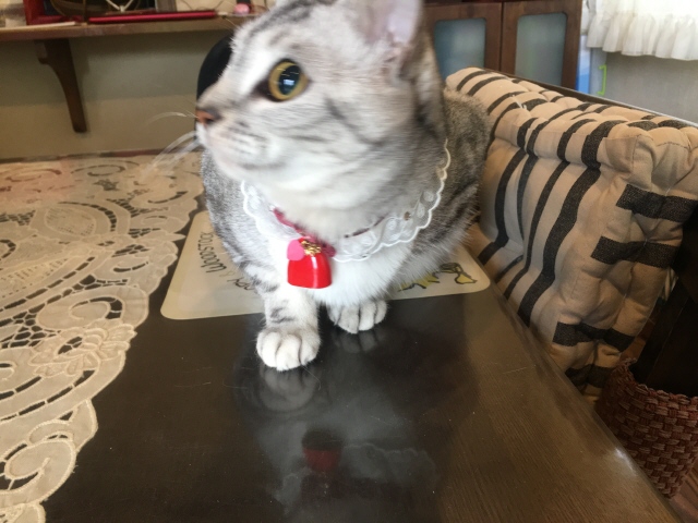 image.jpeg