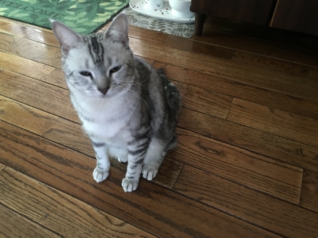 image.jpeg image.jpeg