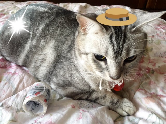 image.jpeg image.jpeg