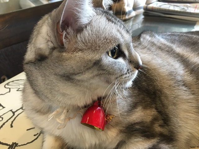 image.jpeg image.jpeg