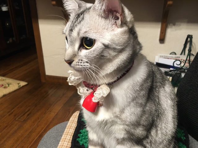 image.jpeg image.jpeg