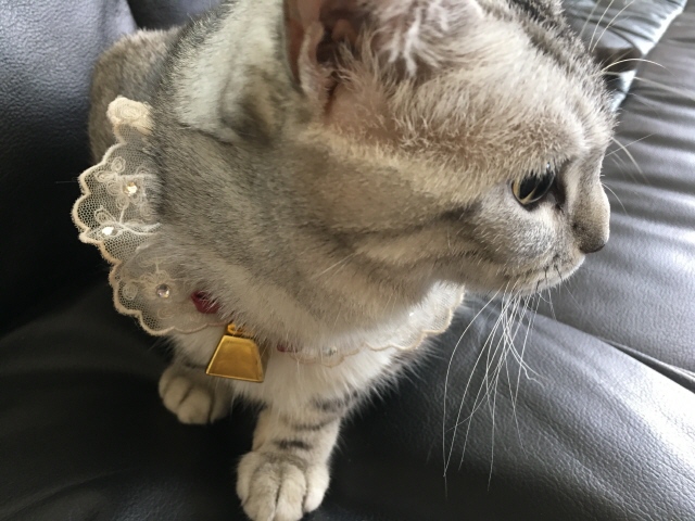 image.jpeg image.jpeg