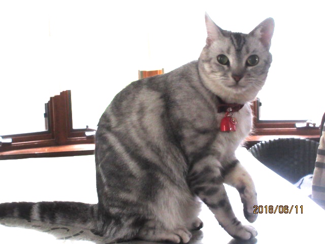 image.jpeg image.jpeg