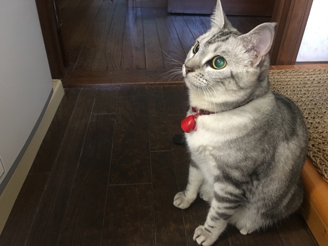 image.jpeg image.jpeg