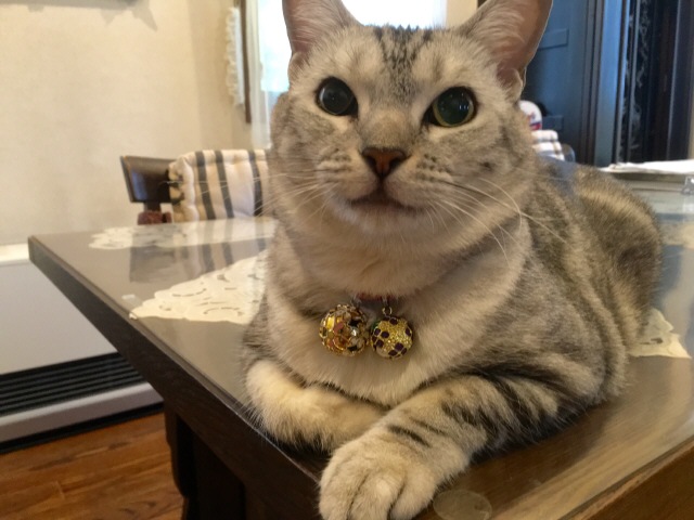 image.jpeg image.jpeg
