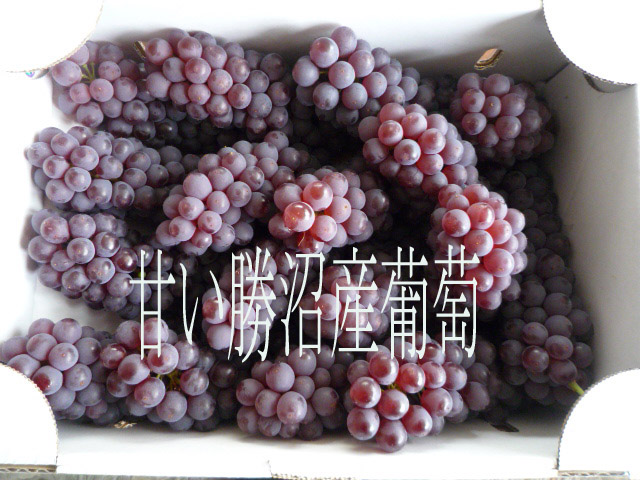 ¤ƺH21.7.4.jpg