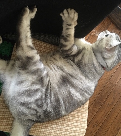 image.jpeg