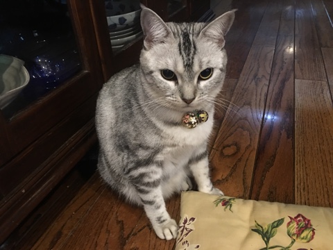 image.jpeg image.jpeg
