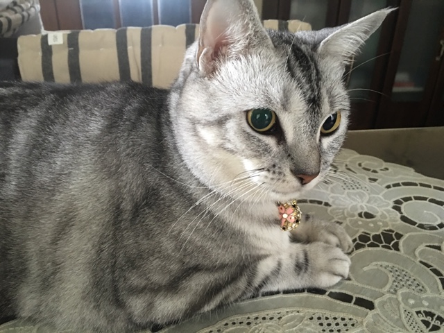 image.jpeg image.jpeg