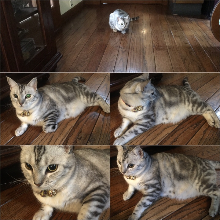 image.jpeg image.jpeg