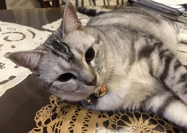 image.jpeg image.jpeg