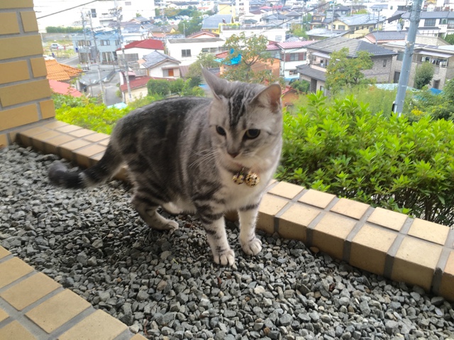 image.jpeg image.jpeg