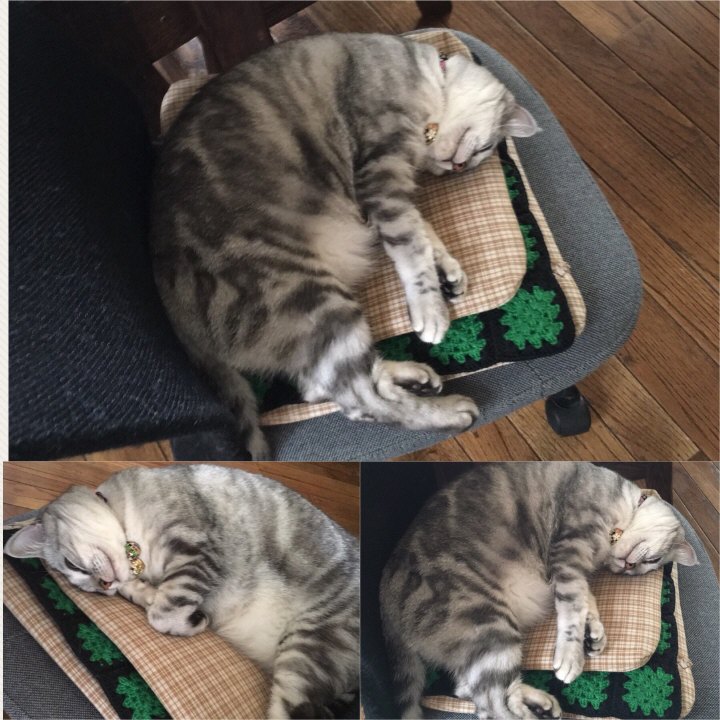 image.jpeg image.jpeg