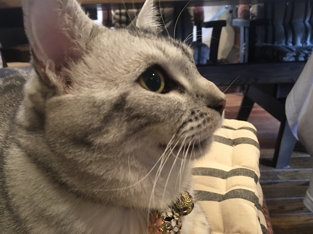 image.jpeg image.jpeg