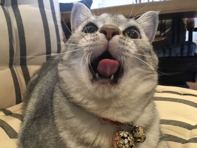 image.jpeg image.jpeg