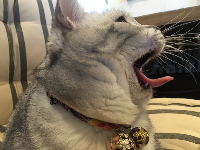 image.jpeg image.jpeg