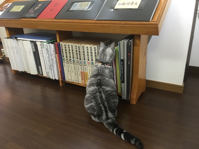 image.jpeg
