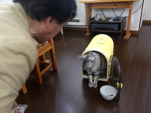 image.jpeg