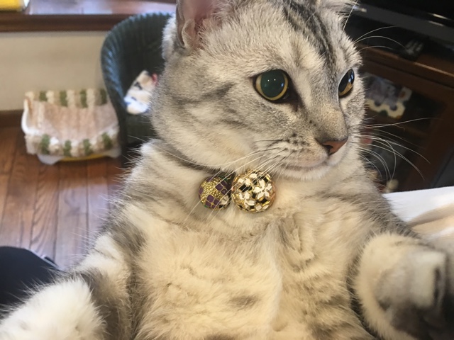 image.jpeg image.jpeg