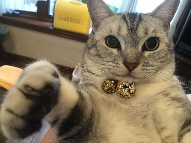 image.jpeg image.jpeg